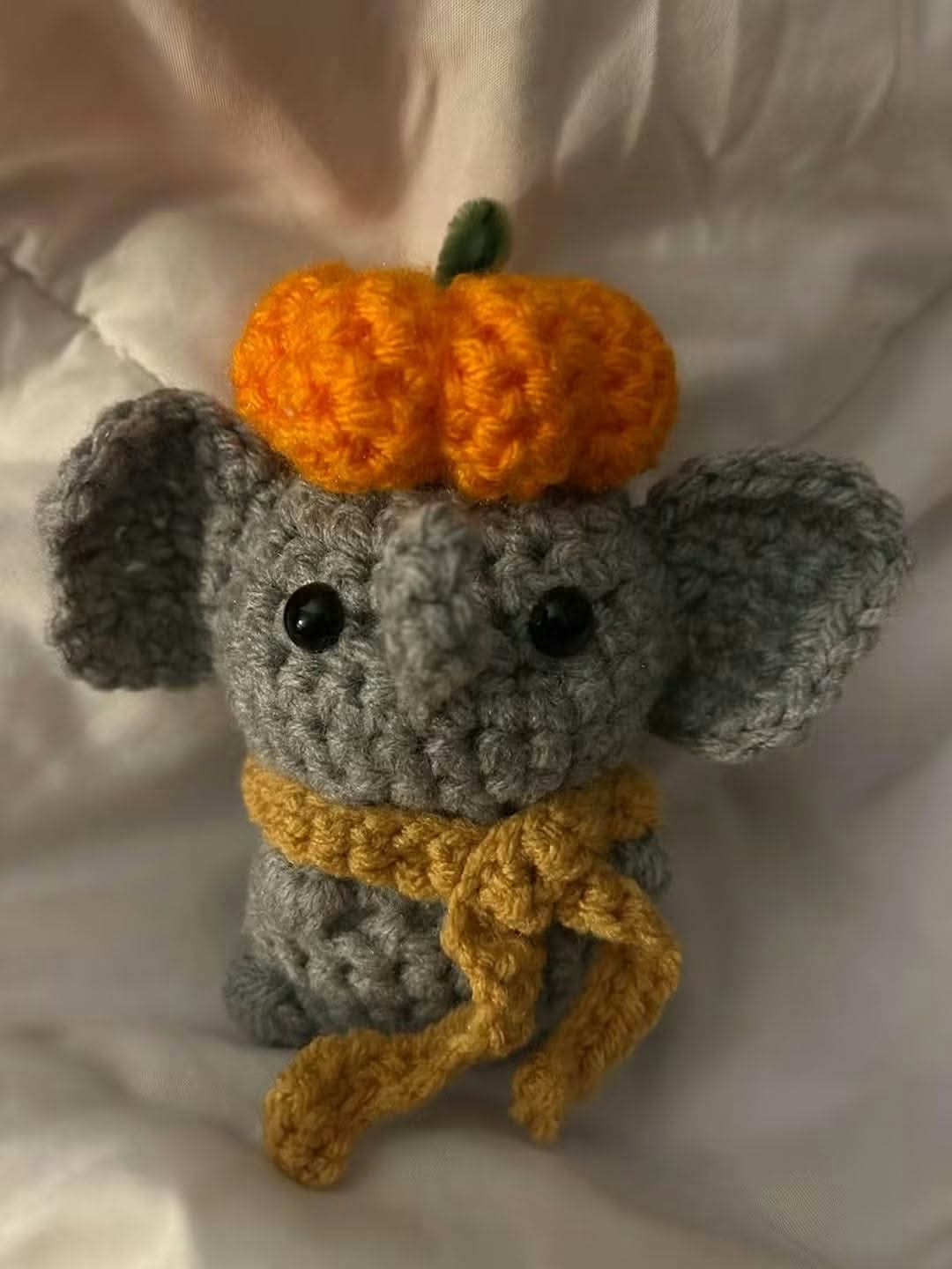 Pumpkin Peanut